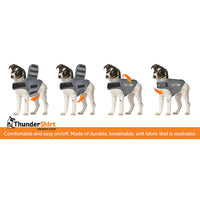 ThunderShirt for Dogs - Heather Grey