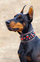 Ruby Studded Dog Collar