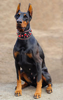 Ruby Studded Dog Collar