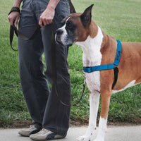 Deluxe Easy Walk® No Pull Harness