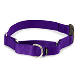 Martingale Collars with Quick Snap Buckle